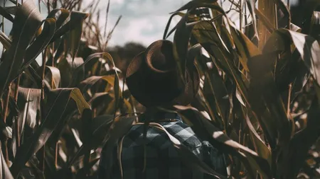 Cum se poate face agricultură pe doar 2,5 ha de pământ?