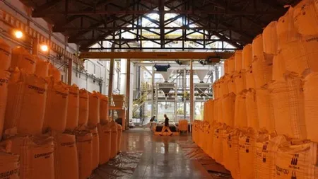 Prețurile produselor alimentare au scăzut în 2016, pentru al 5-lea an consecutiv 