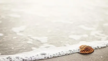 Doar 4 din 10 romani care merg in vacanta de vara apeleaza la agentii de turism