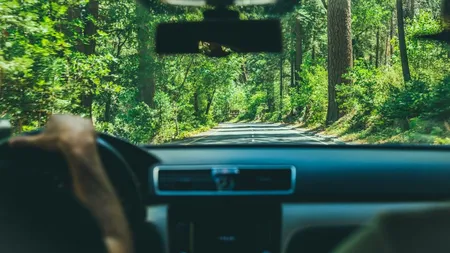 Soferul, cea mai cautata ocupatie a momentului in Romania