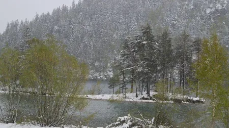 Capriciu al naturii: zăpadă la început de mai Fotoreportaj