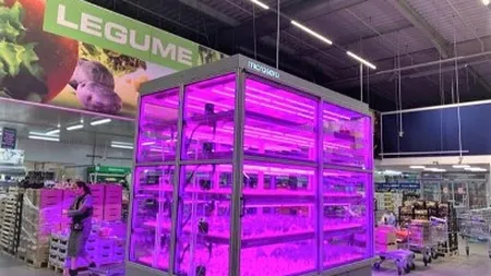 METRO aduce in magazinul din Baneasa o microsera inteligenta