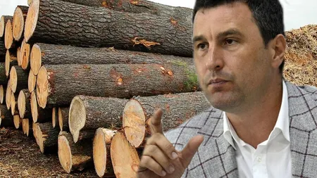 Tanczos Barna, îngrijorat de explozia prețului la lemnele de foc: Este nevoie de intervenție din partea statului