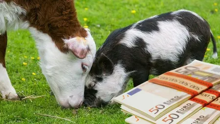 Ministrul Agriculturii face anunțul care poate influența prețul alimentelor „Este o subvenţie foarte bună, care vine în sprijinul fermierilor români”