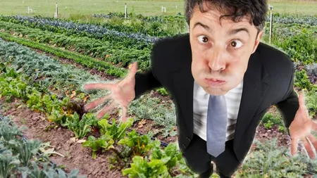 Revolta unui fermier român „Toți producătorii români ţin la calitatea produsului. Ca să produci calitate, ai costuri mult mai mari”