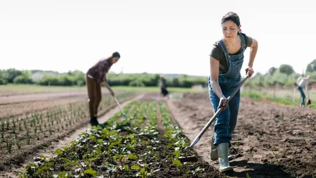 Românii s-au săturat să muncească în Italia și Spania. Ce țări preferă acum cei care vor să câștige un ban dincolo de granițele țării