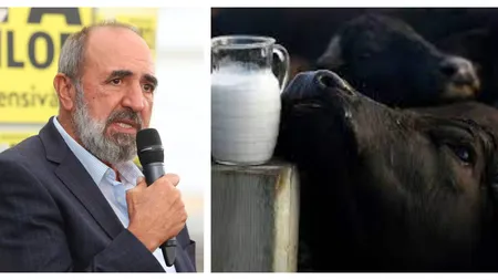 Incredibil. Cum ajunge un litru de lapte să coste de trei ori mai mult în magazin, față de prețul cerut de fermieri