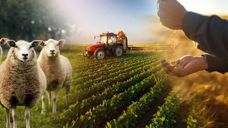 APIA anunță startul plăților în avans pentru campania 2022; fermierii vor primi peste un miliard de euro