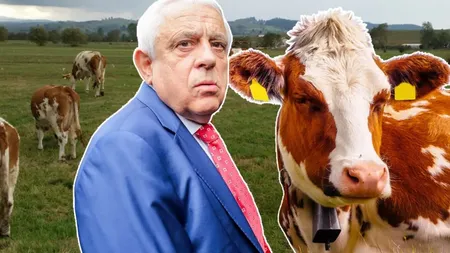 Cine poluează: vaca, sau mașina? Petre Daea: „Că, acum, vaca este responsabilă când avem atâta poluare. România are 2 milioane de vaci și 9 milioane de mașini”