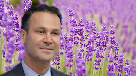 Negoiță plantează lavandă în Sectorul 3 cu 6 lei tufa. Edilul mai vrea să înfrumusețeze toate parcurile din sector cu ierburi exotice ca hibiscum, berberis sau iarbă de Pampas