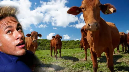 De pe terenul de fotbal direct la fermă! Neymar își cumpără 20.000 de vite