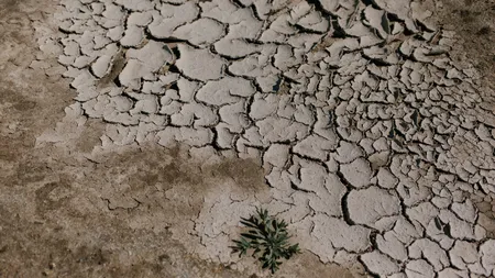 Seceta a făcut ravagii în România. MADR anunță peste 1,2 milioane de hectare afectate. Iată zonele cu mari probleme