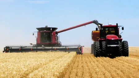 Situație nemaiîntâlnită! Producția de grâu a depășit-o pe cea de porumb după 32 de ani