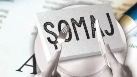 Românii vor să muncească. Rata şomajului a scăzut faţă de anul trecut. Datele publicate de ANOFM