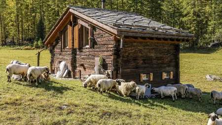 MADR învestește în zona montană. Află cine se încadreză pentru pachetul de sprijin