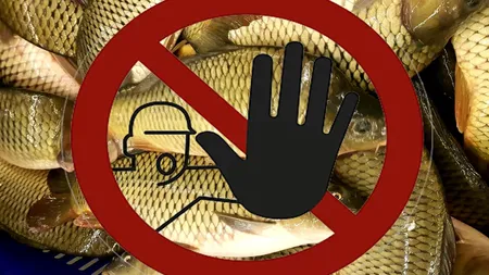 Atenție! Peștele din Dunăre conține mercur și alte metale grele care pot provoca probleme neurologice, oncologice și intoxicații grave! Semnalul de alarmă tras de cercetătorii români