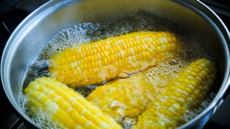 Porumbul modificat genetic importat din SUA refuzat vehement de mexicani! „Alegem sănătatea”