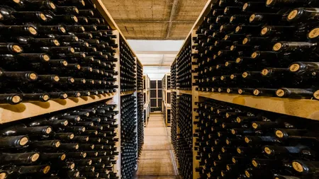 Se vinde Crama Birăuaș. Cât costă una dintre cele mai importante crame din România. Proprietatea are 10 camere, 5 băi și 3 pivnițe