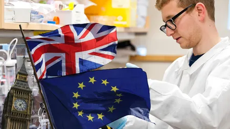 Cercetătorii britanici rămân fără fonduri. Marea Britanie cere acces la programele europene de cercetare științifică