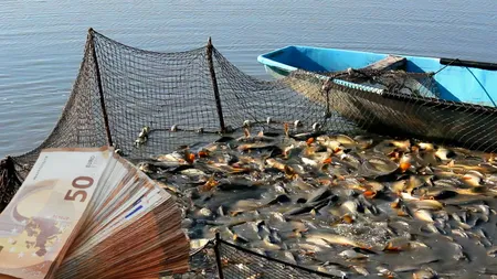 Peste 600.000 de euro investiți prin fonduri europene pentru determinarea potenţialului de producţie al siturilor de acvacultură