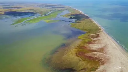 Cu toate că este de o frumusețe incredibilă, acest loc din România nu poate să fie vizitat sau populat. Unde este Sacalin, o insulă unde trăiește o mare varietate de păsări, mamifere și reptile