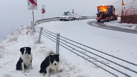 A venit iarna la munte! Pe Transfăgărășan zăpada are deja câțiva centimetri. Care este prognoza meteo pentru următoarele patru săptămâni
