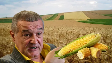Gigi Becali lasă fotbalul pentru agricultură! Patronul FCSB visează la investiții de 5 milioane de euro