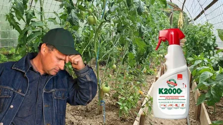 Adio insecticide sau erbicide! Fermierii riscă până la 5 ani de închisoare dacă își fac singuri tratamentele fitosanitare