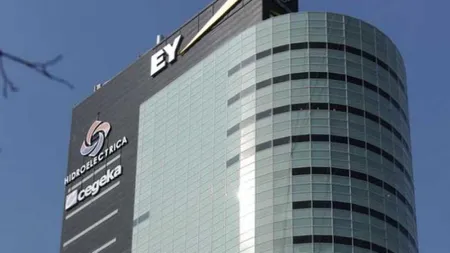 TOP 10 cele mai valoroase companii de pe piaţa românească. O firmă cu capital românesc pe prima poziţie