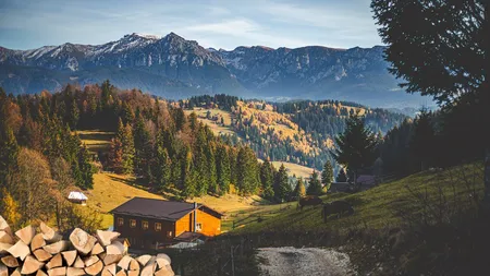 Orașul din România unde lemnele de foc se vând la preț dublu față de cel plafonat de Guvern