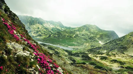 Zona din Retezat în care accesul este strict interzis turiștilor! 2000 de hectare sunt protejate de Academia Română