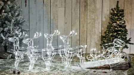 Topul celor mai frumoase decorațiuni de exterior! Lidl și Dedeman se întrec în oferte pentru ornamentele de sărbători!