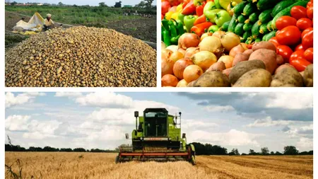 Lovitură pentru fermieri. Ce se întâmplă cu prețurile mărfurilor agricole în 2023