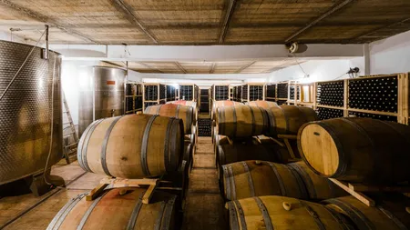 Cramă renumită din România scoasă la vânzare pentru 950.000 de euro