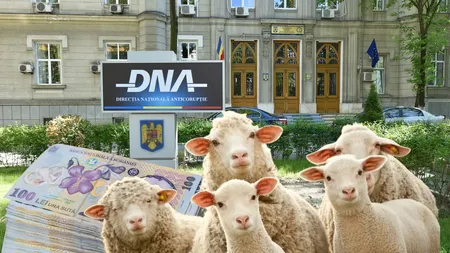Directorul unei fabrici de armament din România a cerut șpagă 8.500 euro, 7.000 lei şi 13 miei de Paște pentru un contract. Acum e trimis în judecată de DNA