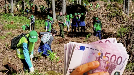 Românii sunt interesați de subvenția de 456 de euro/hectar! În primele zile de la lansare s-au înscris peste 300 de oameni