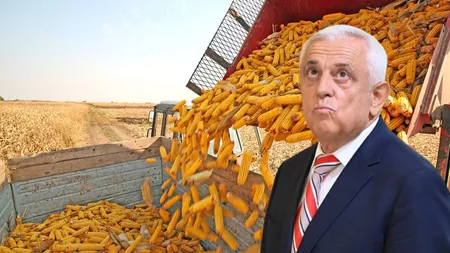 România va avea cea mai mică producție de porumb din ultimii 15 ani. Petre Daea: „A fost un an foarte dificil, un an care a pus la grea încercare fermierii români”
