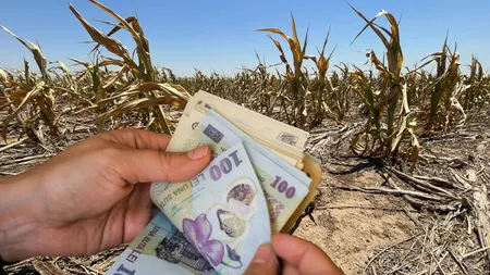 Despăgubiri de patru ori mai mari pentru o categorie de persoane. Cine va primi banii