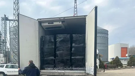 Tigări de peste 1,5 milioane de euro descoperite la Bechet. Produsele erau de contrabandă și nu aveau acte de proveniență