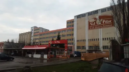 Vel Pitar ajunge pe mâna mexicanilor. Cel mai mare producător de pâine a fost cumpărat de grupul Bimbo cu circa 200 de milioane de euro