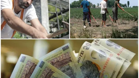 Cât câștigă un zilier în România, în 2023. Munca sa este plătită la oră