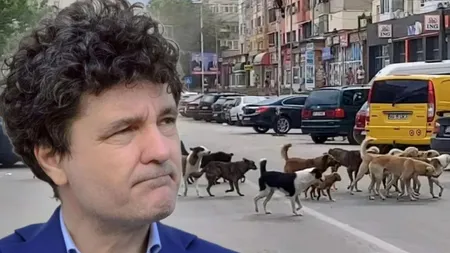 Nicușor Dan are în plan să aloce 10 milioane de lei în 2023 pentru sterilizarea a 50.000 de câini