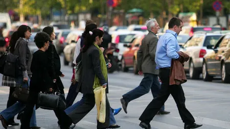 Evoluția ratei de ocupare a populației din România! Iată radiografia categoriilor de persoane în funcție de vârstă și ocupație