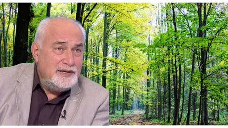 Varujan Vosganian, despre jaful pădurilor: ”Pădurile trebuie să rămână ale României! Guvernanții s-au îmbolnăvit se servilism”