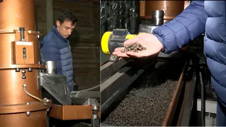 Un buzoian propune o soluție ieftină de încălzire a locuinței: peleții din coji de semințe de floarea-soarelui! O tonă se vinde cu 1.500 lei