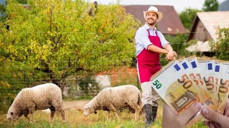 Fermierii pot beneficia de un ajutor de 70.000 euro! Ministerul Agriculturii și Dezvoltării Rurale a anunțat care sunt condițiile