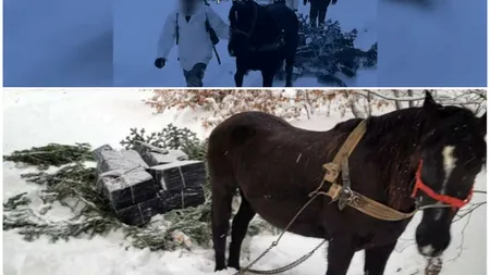 Incredibil! Traficanți prinși de vameși în timp ce transportau țigări de contrabandă cu ajutorul unui cal