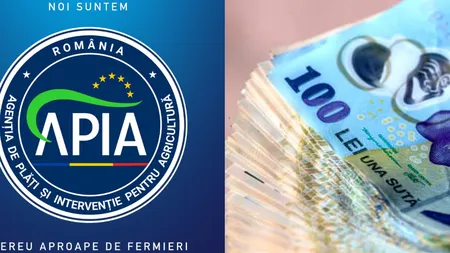 Cresc salariile funcționarilor APIA. Unele ajung și la 16.000 de lei. Ce angajați se încadrează