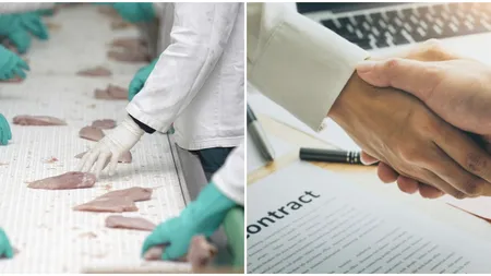 Ioan Popa se gândește să vândă Transavia. Omul de afaceri a angajat banca de investiții Rothschild pentru a testa piața