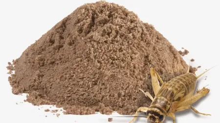 Greierii de pe masa românilor, subiectul care face vâlve. Dacă cineva își va dori să-i cumpere, să mănânce, e dreptul lui. Populația este revoltată